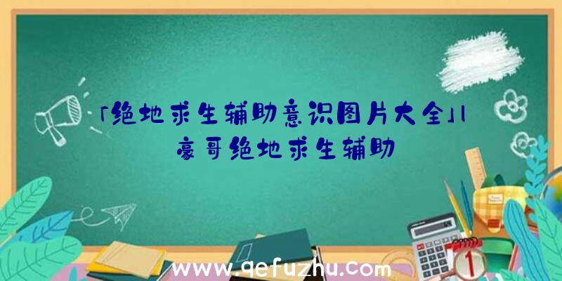 「绝地求生辅助意识图片大全」|豪哥绝地求生辅助